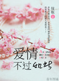 爱情不过是一种普通的玩意原版