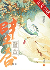璧合 法采 txt下载